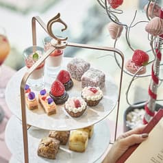 スモーク&スピン センタラグランドホテル大阪33階 2