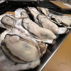 カキシバ 牡蠣シバこう 2