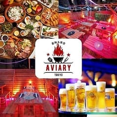 星降る夜空Aviary Tokyo 新宿BBQビアガーデン 2