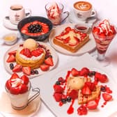 ロゼッタカフェカンパニー 沖浜店 3