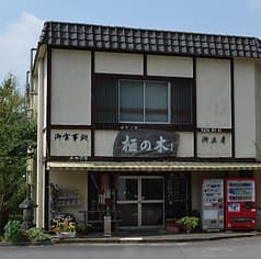 榧の木 かやのき 2