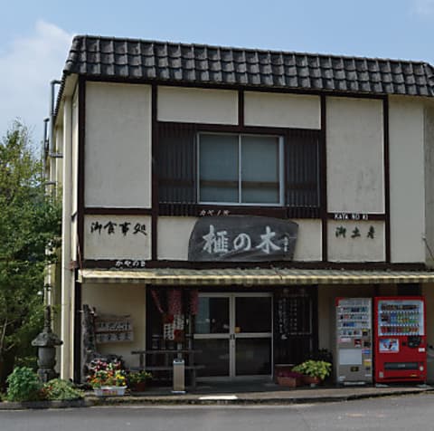 榧の木 かやのき