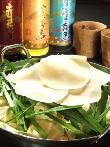 博多水炊き風もつ鍋 もつ藤