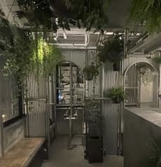 月島シーシャ カフェ&バー BOTANI 2