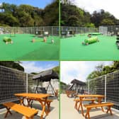 わんだふるワン 3