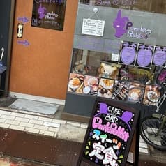 Purple Rabbit パープル ラビット 2