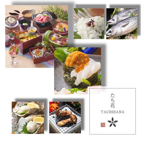 たち花 大和八木