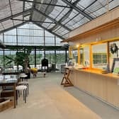 ばななんぼう 3