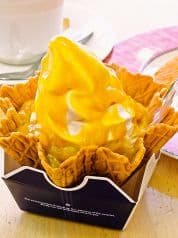 ココナッツアイランド 富山中央植物園店 2