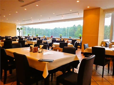 トップオブフォレスト