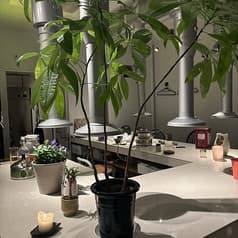 焼肉 tulip チューリップ 2