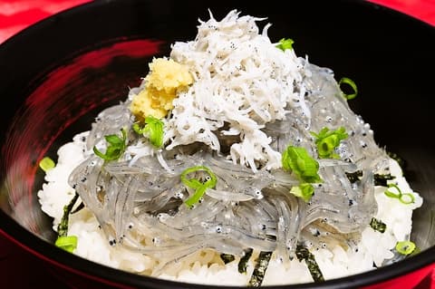 田子の浦港 漁協食堂