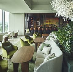 Norva ノーヴァ 2