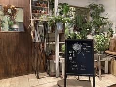 週末酒場 緑と酒 2