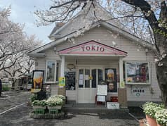 きせつ料理 TOKIO 2