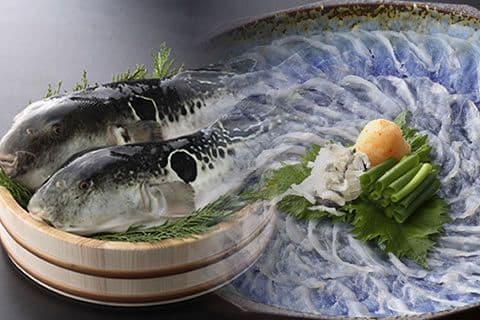 しらかわ ふぐ料理