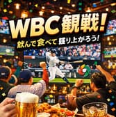 POLLOカラ ポロカラ 3