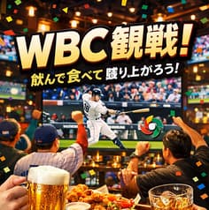 POLLOカラ ポロカラ 2