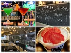 SANEST サネスト 2