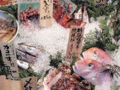 博多馳走 酒肆 大関 2