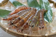 笑うだるま 大手門店 2