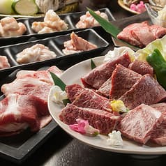 金獅子のホルモン 北12条店 2