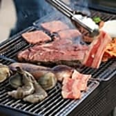 ボンゴヴィラ 3