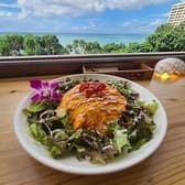 Cafe & Bar Sea Terrace シーテラス 3