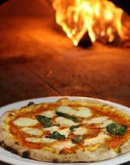 バッボアンジェロ BABBO ANGELO 2