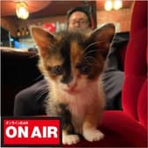 オンラインBAR ON AIR 3