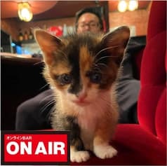 オンラインBAR ON AIR 2
