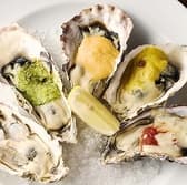 千葉葡萄酒食堂ユイットル 3