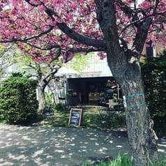 スパタコス maruyama 2