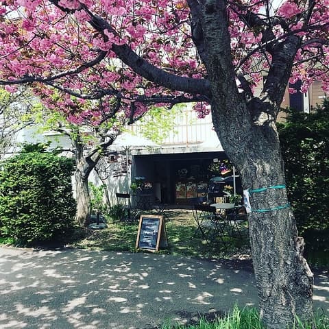 スパタコス maruyama