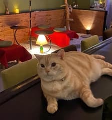 あんど the BAR 神戸三宮 2