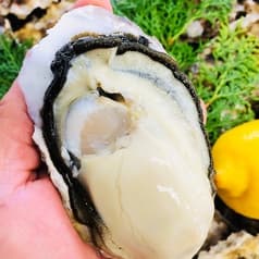 若大将 東別院 2