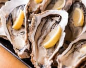 かき小屋 飛梅 神田西口店 3