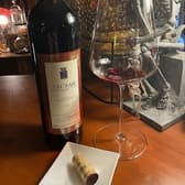 Turtle タートル 3