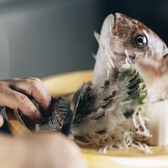 魚匠 うおたらし 熊本下通店 2