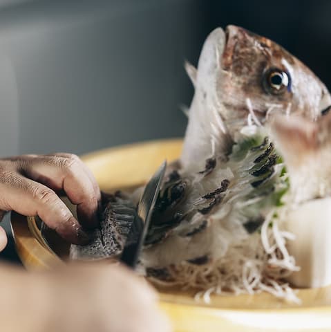 魚匠 うおたらし 熊本下通店