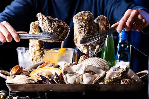 綱島 カキイロハ