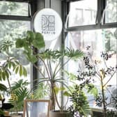 POPiNポップイン 3