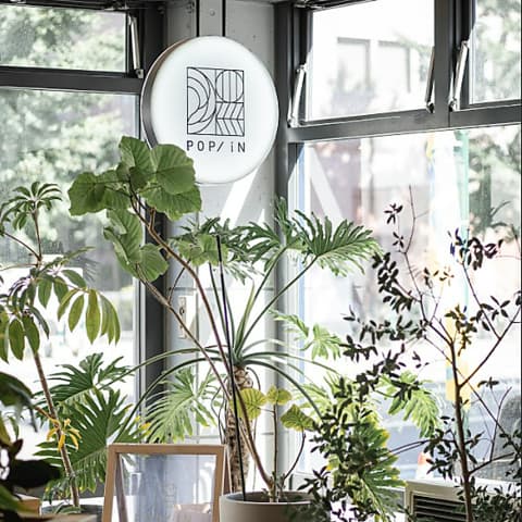 POPiNポップイン