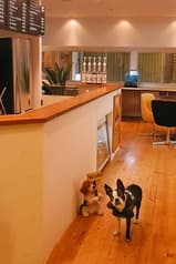ドッグカフェ プッチーニ 2