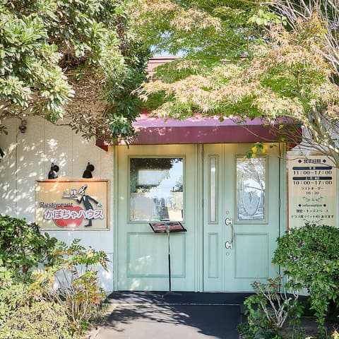 かぼちゃハウス 茂原店