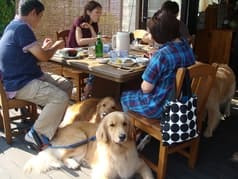 キッチンハートランド 2