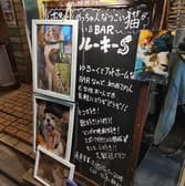 カフェ・バー ルーキーS 3