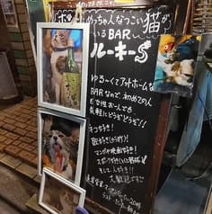 カフェ・バー ルーキーS 2