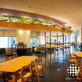 Keyaki no Mori CAFE & ARTS ケヤキノモリ カフェアンドアート 3