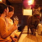 気ままなイタリアン チャーリー 3